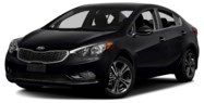2014 Kia Forte 4dr Sedan_101